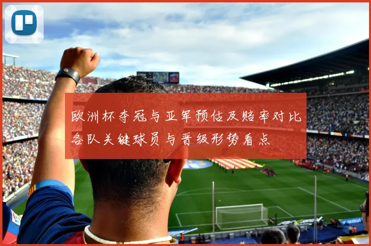 欧洲杯夺冠与亚军预估及赔率对比各队关键球员与晋级形势看点
