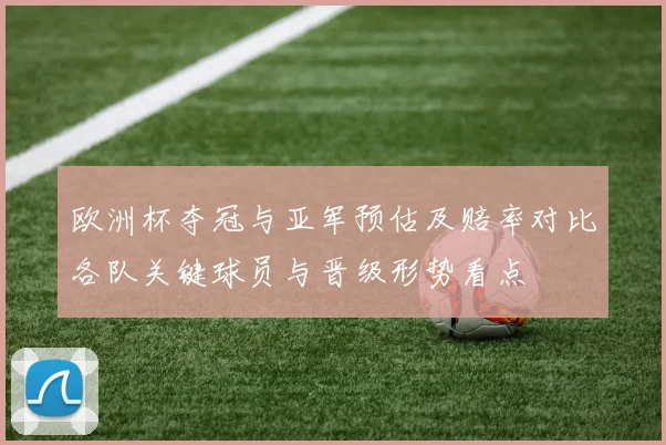 欧洲杯夺冠与亚军预估及赔率对比各队关键球员与晋级形势看点