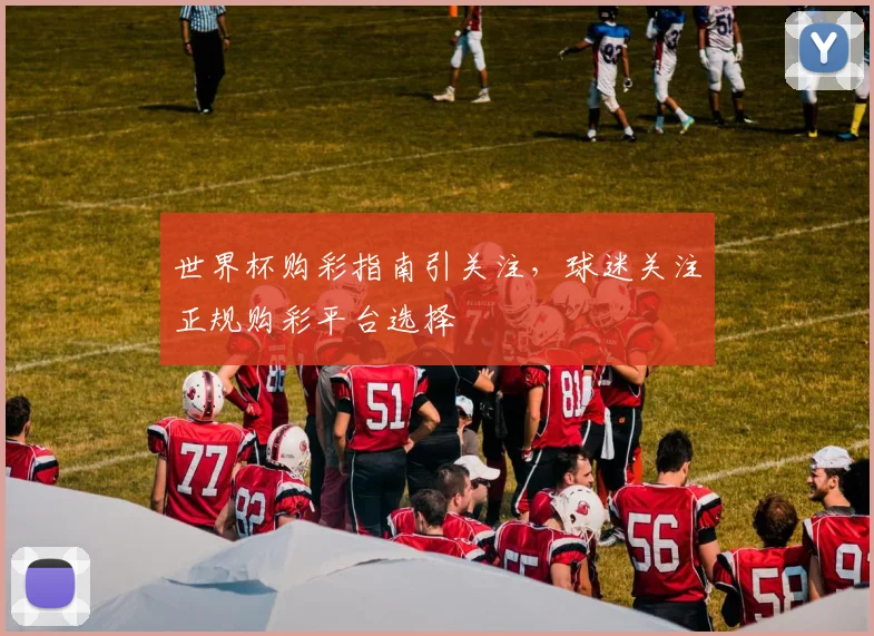 世界杯购彩指南引关注，球迷关注正规购彩平台选择