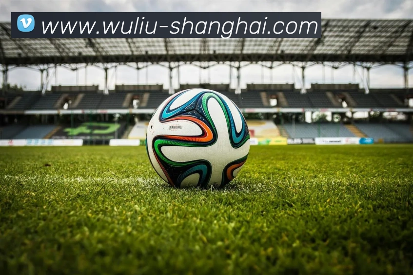 云开app官网入口网页版平台生态图