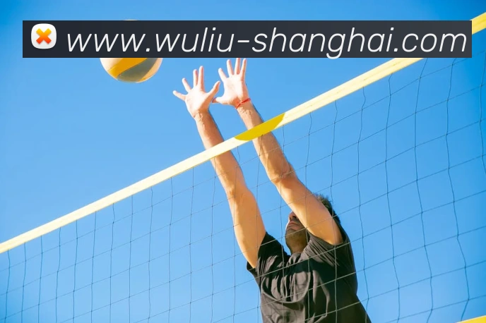 云开app官网入口网页版全站App